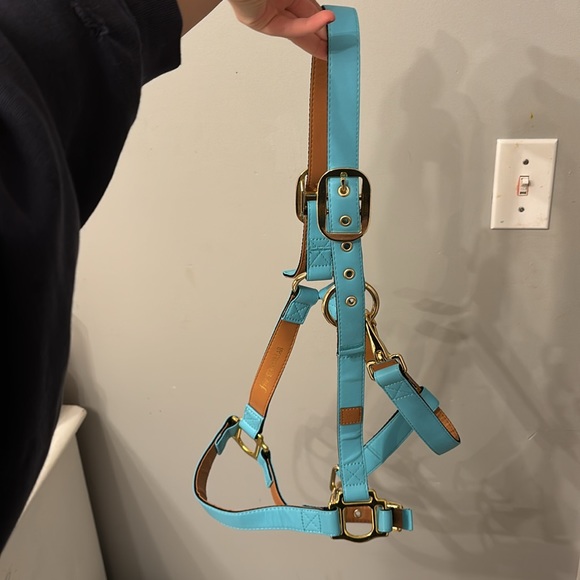 Matching Halter and Friendship Bracelet - Picture 2 of 3